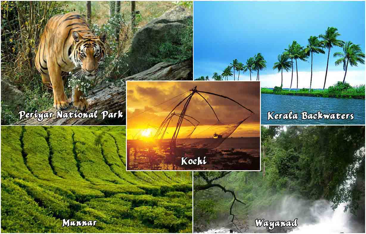 Munnar Thekkady Special Tour Package
